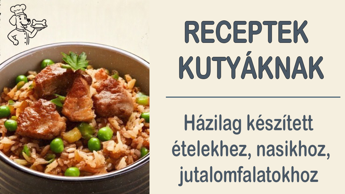 Tudatos táplálás – KutyaKukta