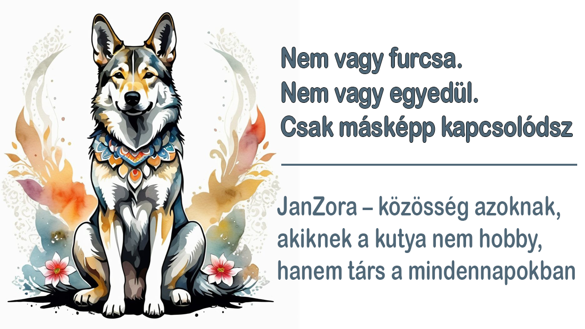 A kutyád a társad – JanZora